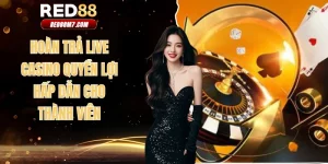 hoàn trả live casino
