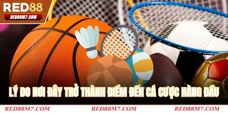 Lý do nơi đây trở thành điểm đến cá cược hàng đầu